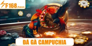 Đá gà Campuchia