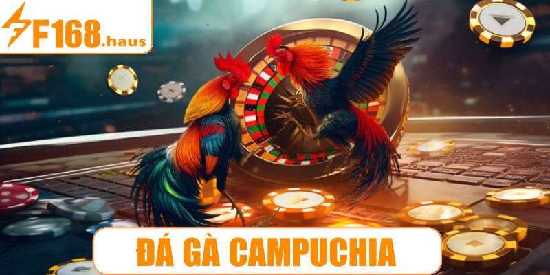 Đá gà Campuchia