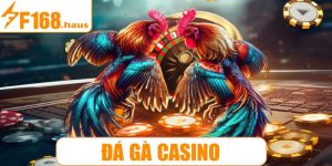 Đá gà casino