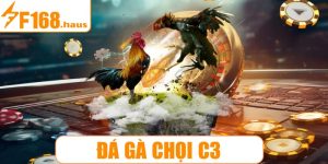 Đá gà chọi C3