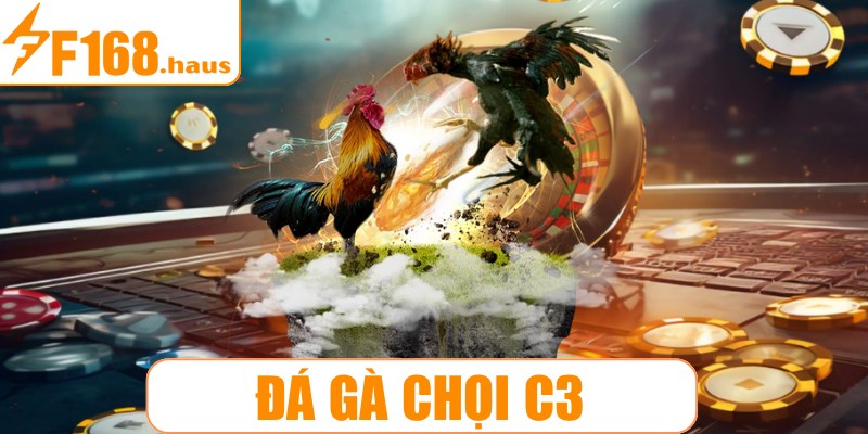 Đá gà chọi C3