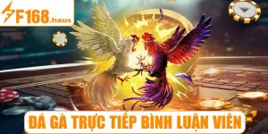 Đá gà trực tiếp bình luận viên
